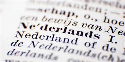 какой язык в нидерландах